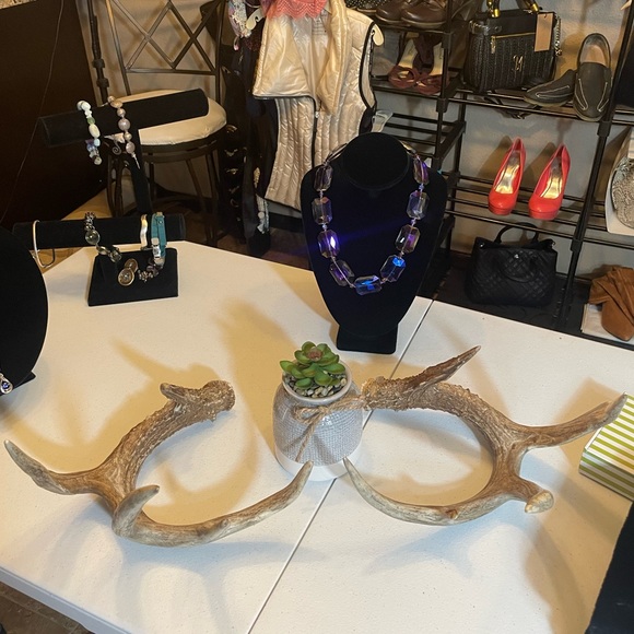 🦌 5+ Point Matchin White Tail Antlers, one tine is broken - Picture 4 of 6